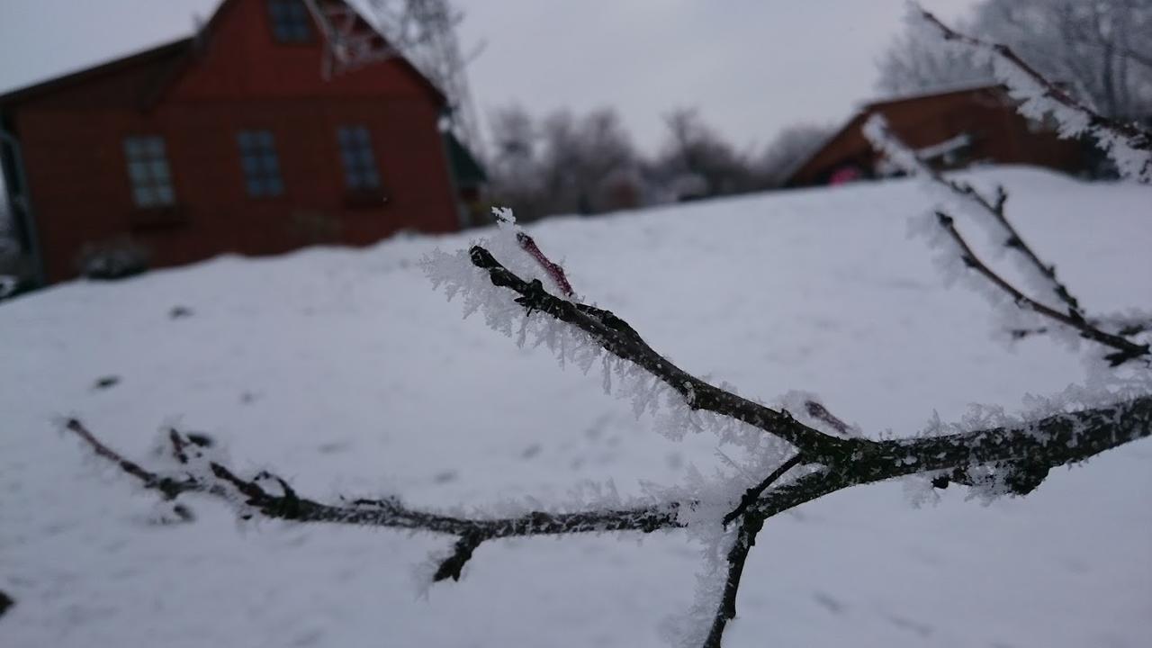 Na Vyhlidce Villa Litoměřice Eksteriør billede